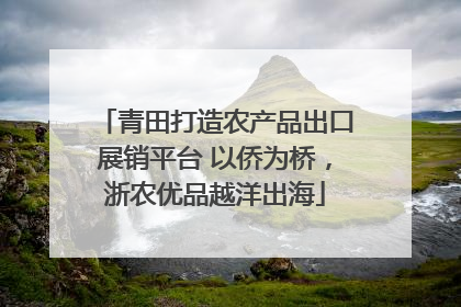 青田打造农产品出口展销平台 以侨为桥，浙农优品越洋出海