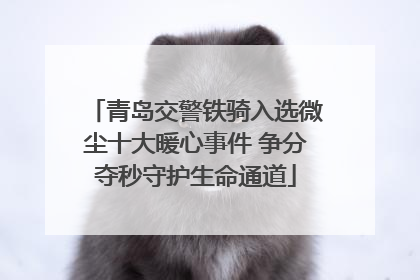 青岛交警铁骑入选微尘十大暖心事件 争分夺秒守护生命通道