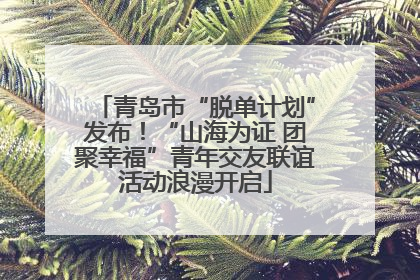 青岛市“脱单计划”发布！“山海为证 团聚幸福”青年交友联谊活动浪漫开启