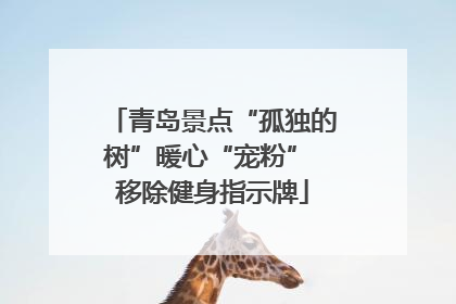 青岛景点“孤独的树”暖心“宠粉” 移除健身指示牌