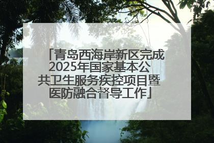 青岛西海岸新区完成2025年国家基本公共卫生服务疾控项目暨医防融合督导工作