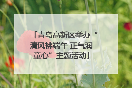 青岛高新区举办“清风拂端午 正气润童心”主题活动