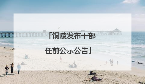 铜陵发布干部任前公示公告