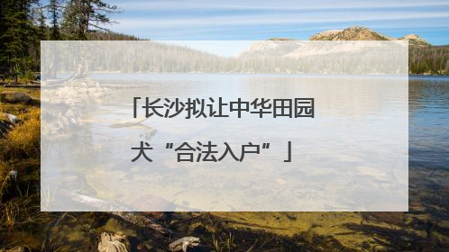 长沙拟让中华田园犬“合法入户”