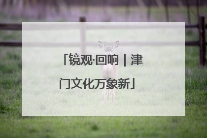 镜观·回响｜津门文化万象新