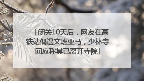 闭关10天后，网友在高铁站偶遇文班亚马，少林寺回应称其已离开寺院