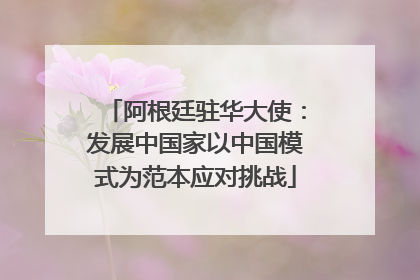 阿根廷驻华大使：发展中国家以中国模式为范本应对挑战