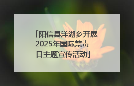 阳信县洋湖乡开展2025年国际禁毒日主题宣传活动