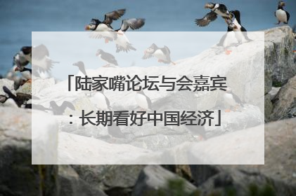 陆家嘴论坛与会嘉宾：长期看好中国经济