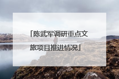 陈武军调研重点文旅项目推进情况