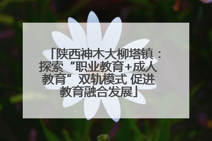 陕西神木大柳塔镇：探索“职业教育+成人教育”双轨模式 促进教育融合发展