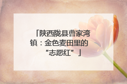 陕西陇县曹家湾镇：金色麦田里的“志愿红”
