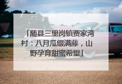 随县三里岗镇贾家湾村：八月瓜缀满藤，山野孕育甜蜜希望