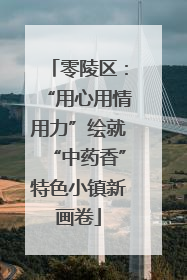 零陵区：“用心用情用力”绘就“中药香”特色小镇新画卷