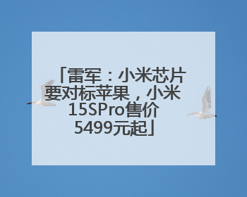 雷军：小米芯片要对标苹果，小米15SPro售价5499元起
