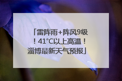 雷阵雨+阵风9级！41℃以上高温！淄博最新天气预报