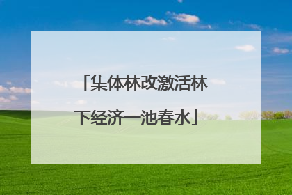 集体林改激活林下经济一池春水