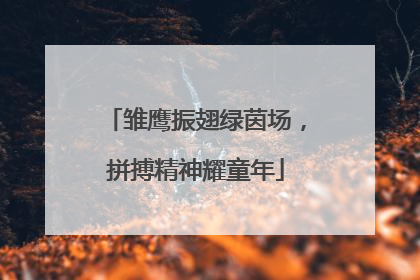 雏鹰振翅绿茵场，拼搏精神耀童年