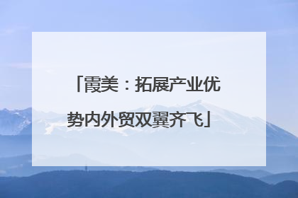霞美：拓展产业优势内外贸双翼齐飞