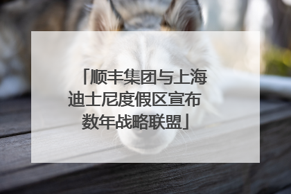 顺丰集团与上海迪士尼度假区宣布数年战略联盟
