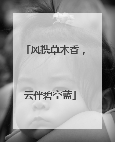 风携草木香，云伴碧空蓝
