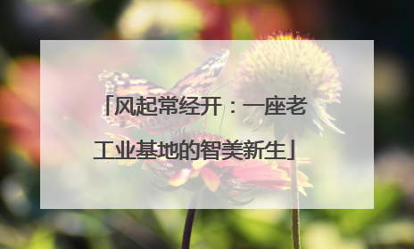 风起常经开：一座老工业基地的智美新生