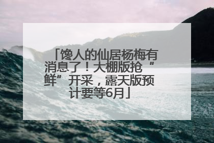 馋人的仙居杨梅有消息了！大棚版抢“鲜”开采，露天版预计要等6月