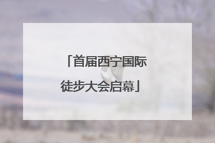 首届西宁国际徒步大会启幕
