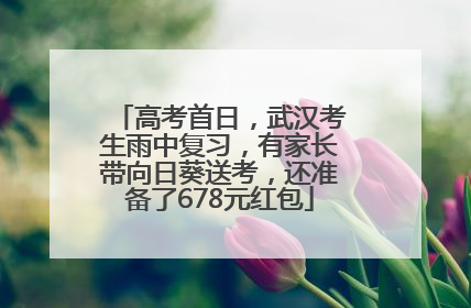 高考首日，武汉考生雨中复习，有家长带向日葵送考，还准备了678元红包