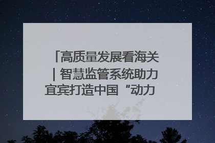 高质量发展看海关｜智慧监管系统助力宜宾打造中国“动力电池之都”