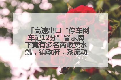 高速出口“停车倒车记12分”警示牌下竟有多名商贩卖水瓢，镇政府：系流动摊位，已多次劝离