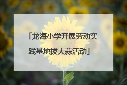 龙海小学开展劳动实践基地拔大蒜活动