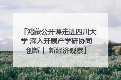 鸿蒙公开课走进四川大学 深入开展产学研协同创新丨 新经济观察