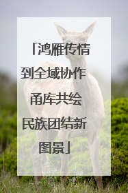 鸿雁传情到全域协作 甬库共绘民族团结新图景