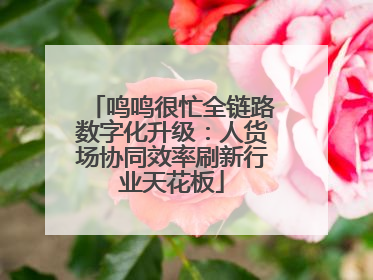 鸣鸣很忙全链路数字化升级：人货场协同效率刷新行业天花板