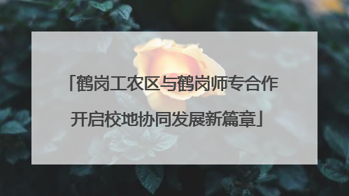 鹤岗工农区与鹤岗师专合作 开启校地协同发展新篇章