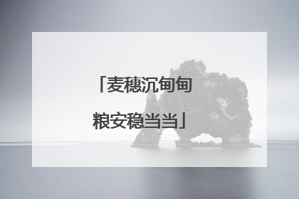 麦穗沉甸甸 粮安稳当当