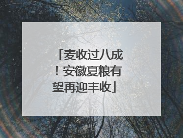 麦收过八成！安徽夏粮有望再迎丰收