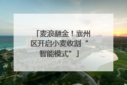 麦浪翻金！襄州区开启小麦收割“智能模式”