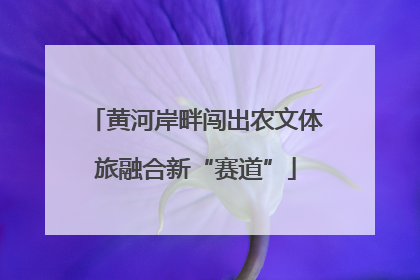 黄河岸畔闯出农文体旅融合新“赛道”