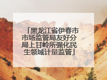 黑龙江省伊春市市场监管局友好分局上甘岭所强化民生领域计量监管
