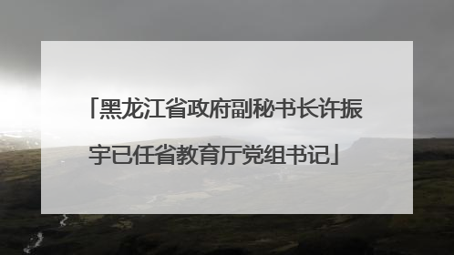 黑龙江省政府副秘书长许振宇已任省教育厅党组书记