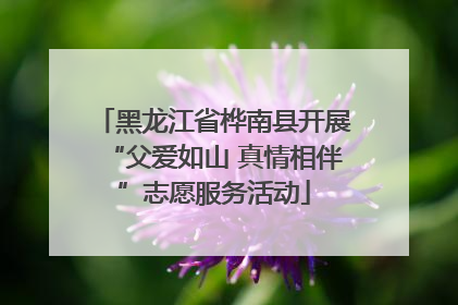 黑龙江省桦南县开展“父爱如山 真情相伴”志愿服务活动