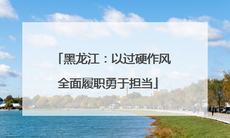 黑龙江：以过硬作风全面履职勇于担当