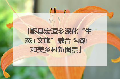 黟县宏潭乡深化“生态+文旅”融合 勾勒和美乡村新图景