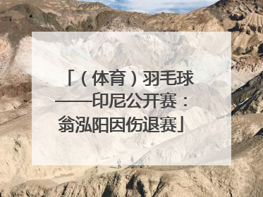 （体育）羽毛球——印尼公开赛：翁泓阳因伤退赛