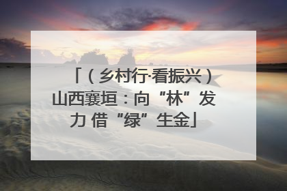 （乡村行·看振兴）山西襄垣：向“林”发力 借“绿”生金
