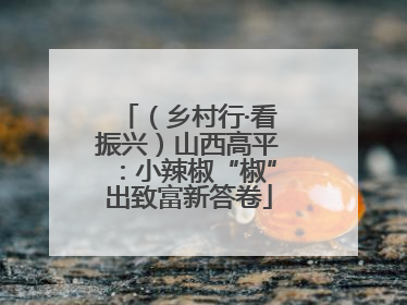 （乡村行·看振兴）山西高平：小辣椒“椒”出致富新答卷