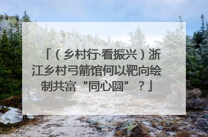 （乡村行·看振兴）浙江乡村弓箭馆何以靶向绘制共富“同心圆”？