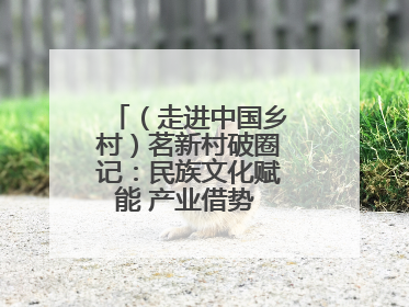（走进中国乡村）茗新村破圈记：民族文化赋能 产业借势 “网红东风”
